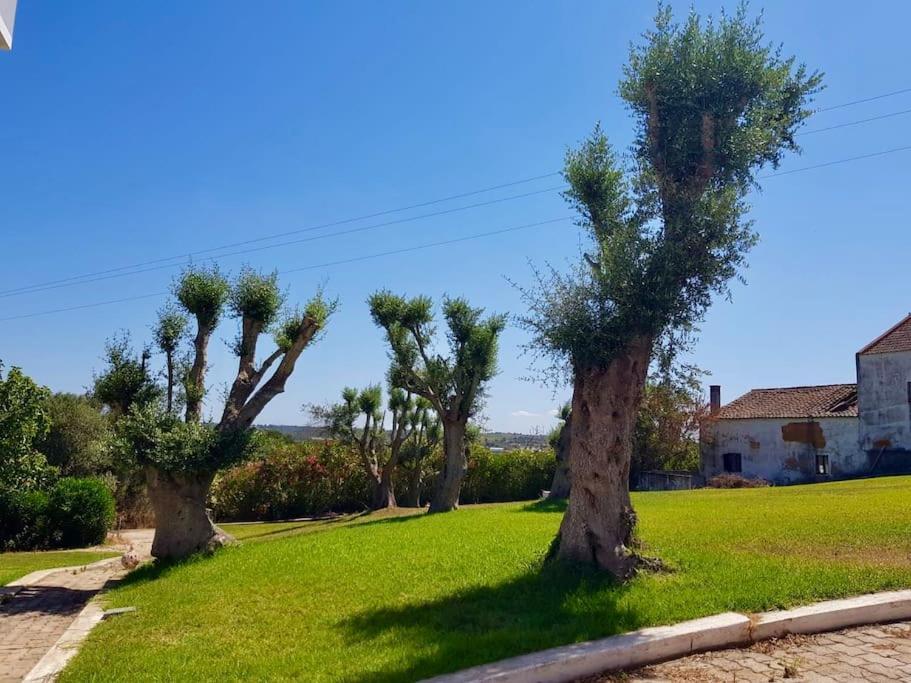 Blue Skies Villas 1&2 Mexilhoeira Grande Εξωτερικό φωτογραφία