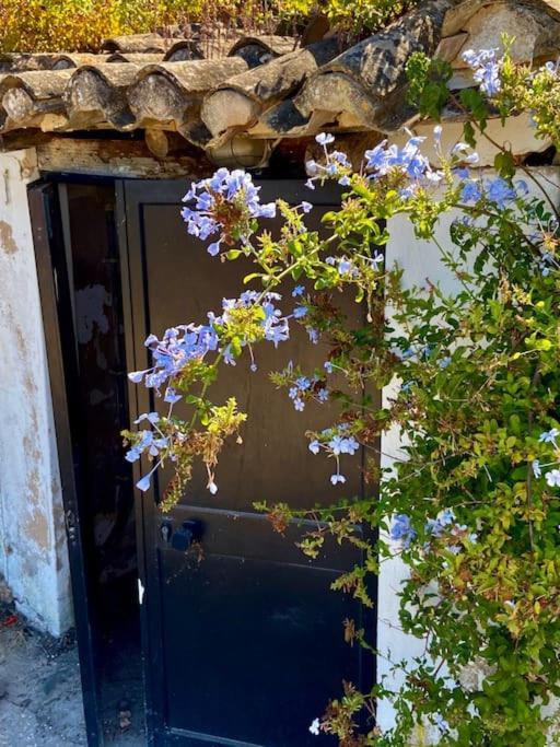 Blue Skies Villas 1&2 Mexilhoeira Grande Εξωτερικό φωτογραφία