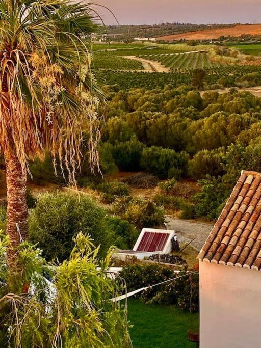 Blue Skies Villas 1&2 Mexilhoeira Grande Εξωτερικό φωτογραφία