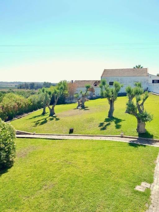 Blue Skies Villas 1&2 Mexilhoeira Grande Εξωτερικό φωτογραφία