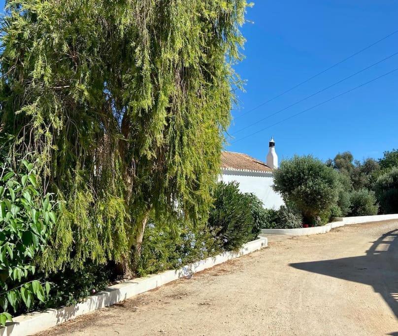Blue Skies Villas 1&2 Mexilhoeira Grande Εξωτερικό φωτογραφία